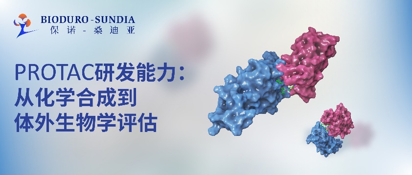 图片包含 文本
描述已自动生成